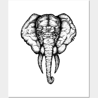 Elephant 1 - Black Posters and Art